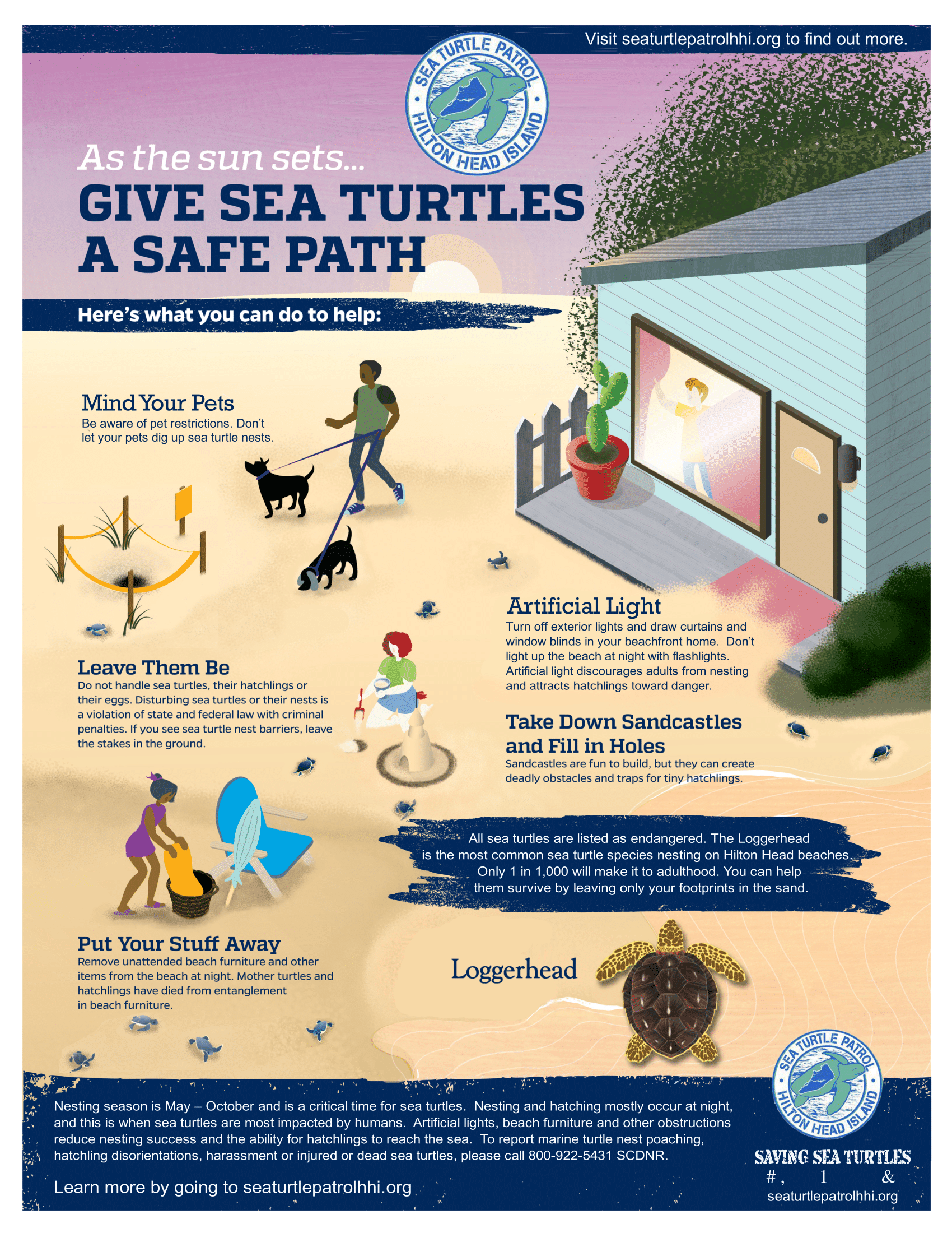 Sea Turtle Nesting Season on Hilton Head Island Hilton Head Island